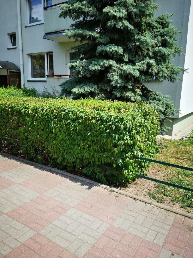 Apartament Apartament Pod Świerkiem Stary Toruń Zewnętrze zdjęcie